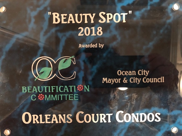 2018 OC Beauty Spot Award