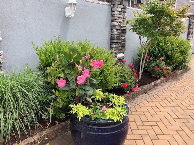 OC Beauty Spot Award Colorful Planters 2018