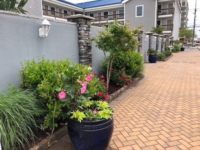 OC Beauty Spot Award Pretty Walkway 2018