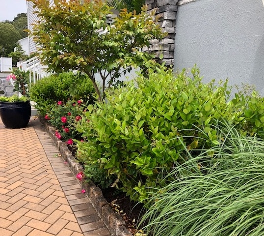 OC Beauty Spot Award Walkway Grasses 2018