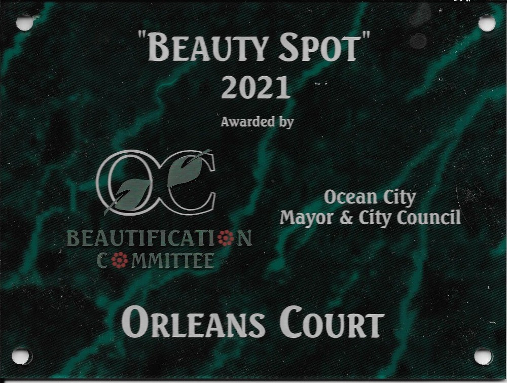 2021 OC Beauty Spot Award